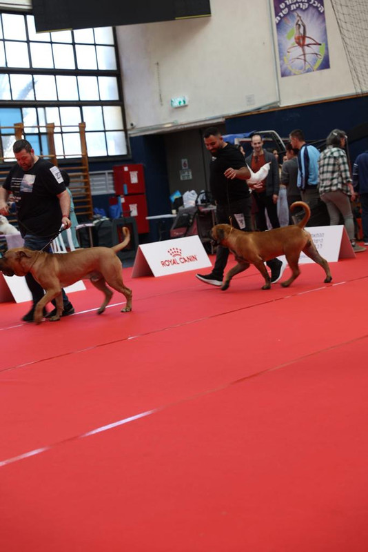 WhatsApp Image 2024-01-20 at 15.25.31 (1)