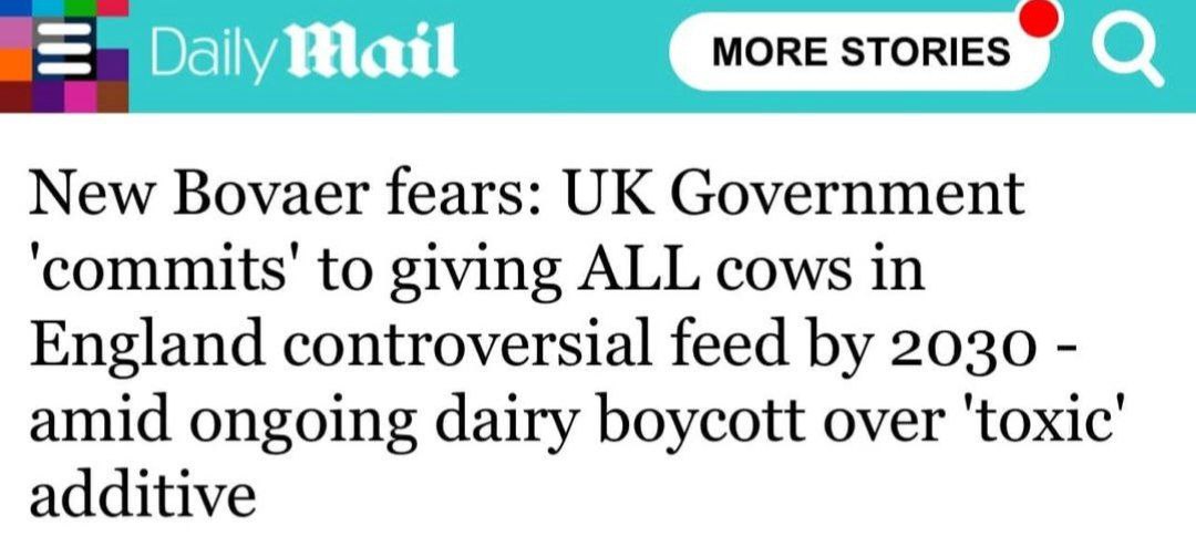 300a9e78a573fa49779a6b96256da543fd59c680