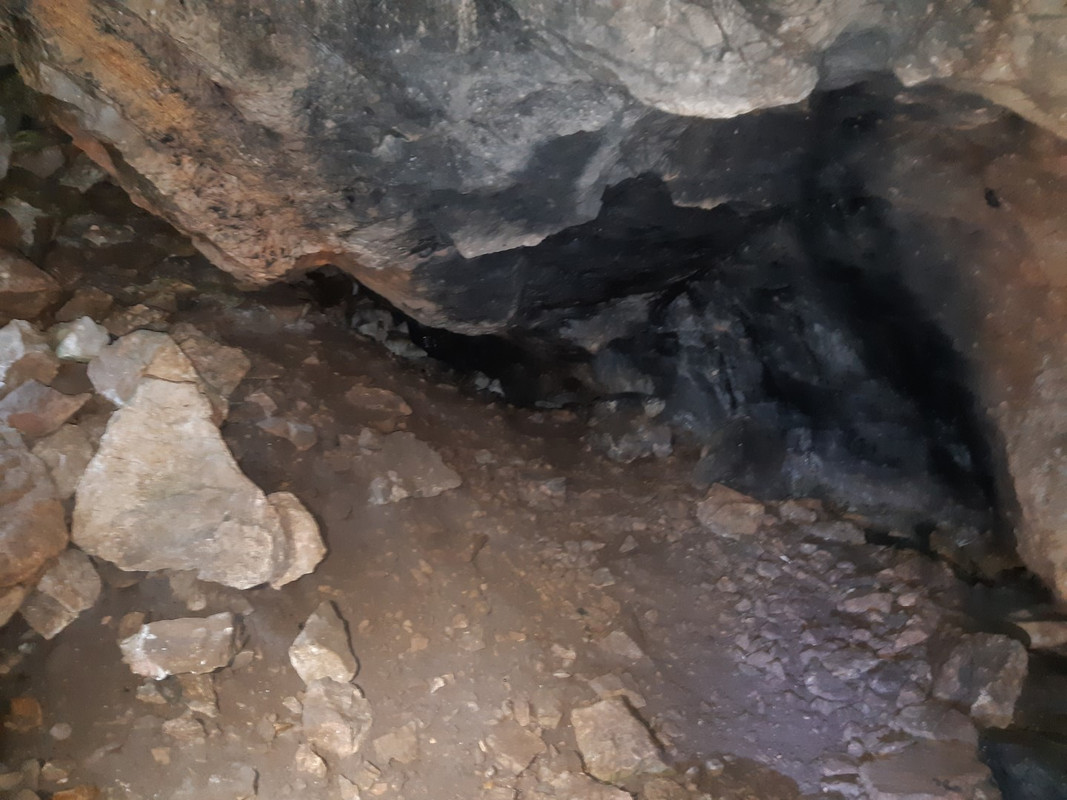 10.09 - 20200613_103427 (PiTT)