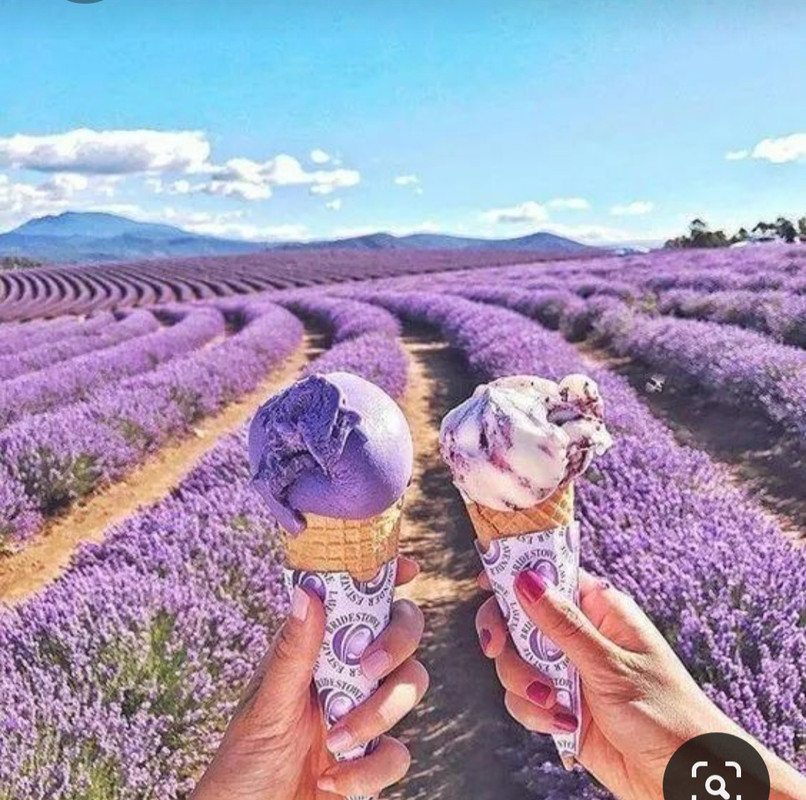 Screenshot_20230405_233705_Pinterest