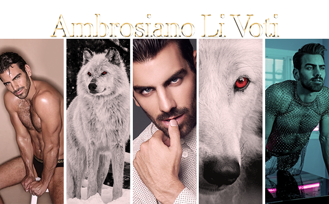 Ambrosiano-Li-Voti-Banner.png