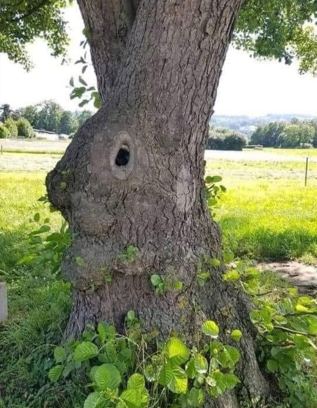 Screenshot_20210327_104800