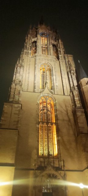 Dusseldorf, Frankfurt, Colonia (23-26 Febrero) - Blogs de Alemania - FRANKFURT: Städel Museum (97)