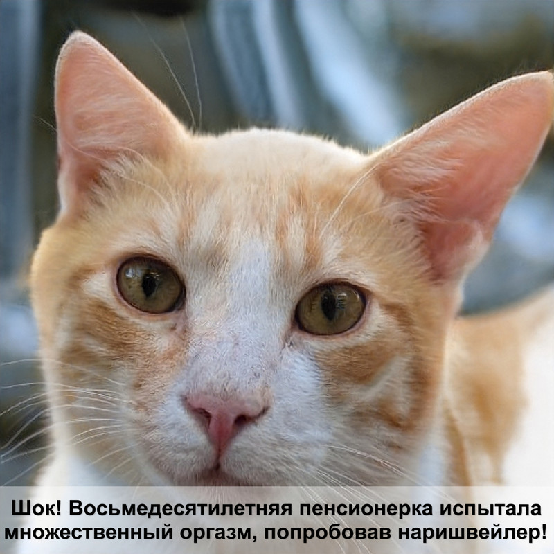 капли для кошек от блох