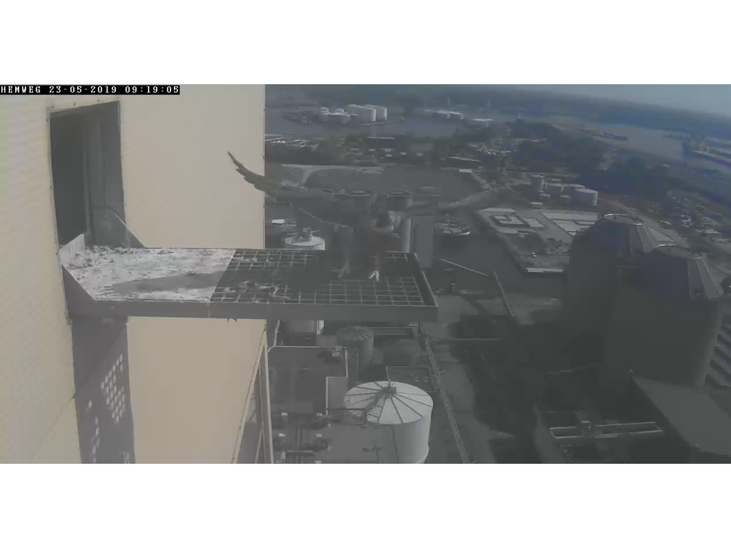 153D333E-CF70-4994-8E38-3D1EEC69FE08