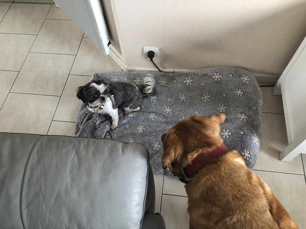 [Image: 5453513-C-A38-F-433-A-A911-AE5-E3-B609427.jpg]