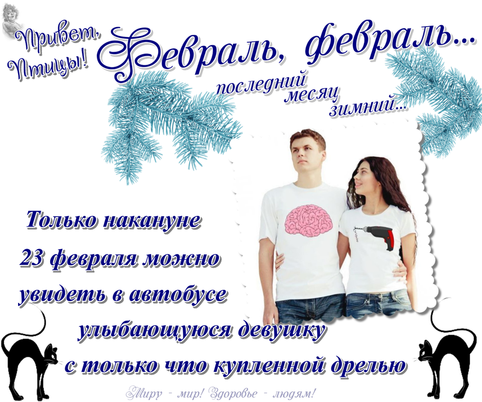https://i.postimg.cc/HkbZPXgr/22-02.png