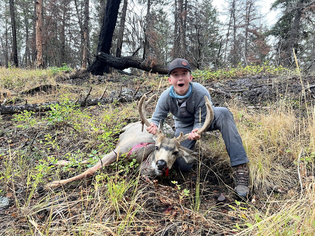 4293CC59-E870-4800-A61A-CEDCE98B0DEB