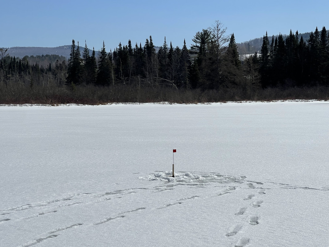 CE1FA031-3D96-4D02-92B5-EA104D02CA3C