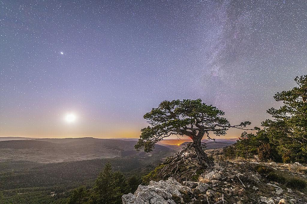 "Paisaje nocturno con la Luna sobre el horizonte y la V�a L�ctea junto al pino