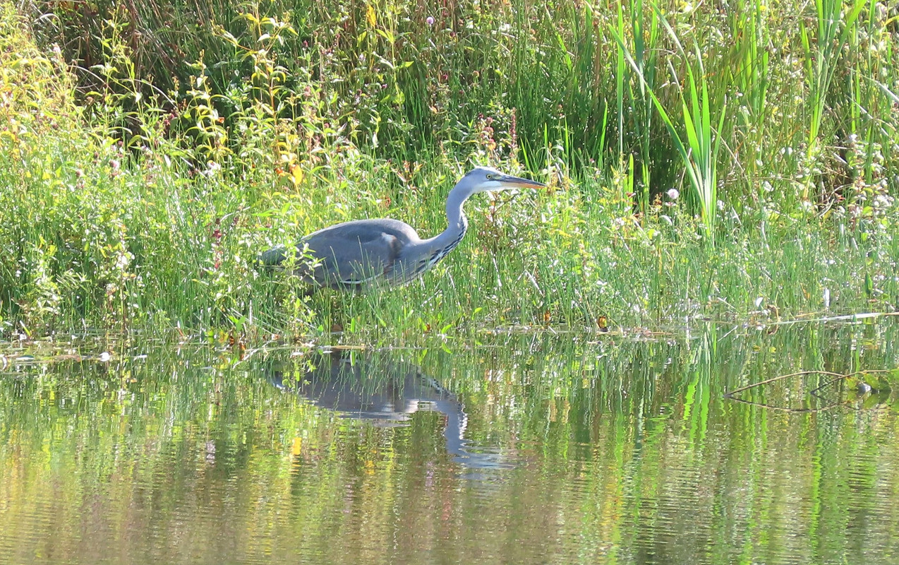 IMG 2580 — Postimages