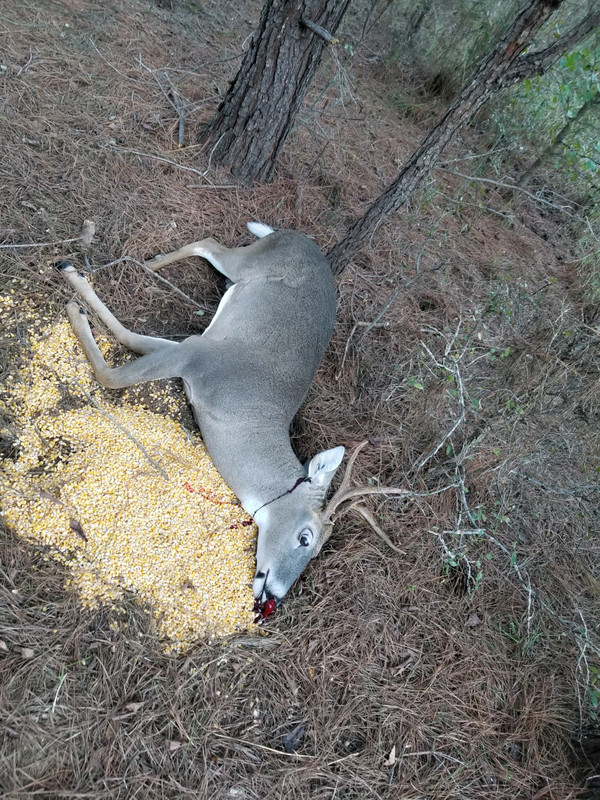 81A1C84F-0A63-4719-A686-0B165D949696