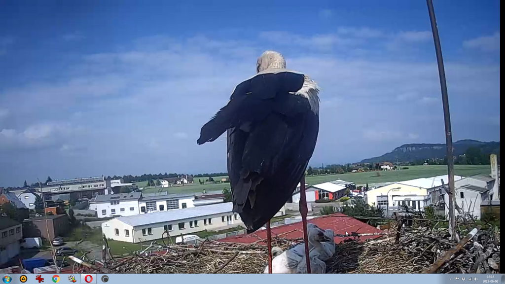 2019-06-06 16_18_52-Greenshot