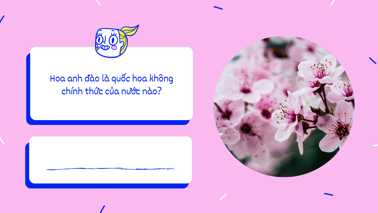 Vàng Xanh dương Hồng Trắng Vui nhộn Trẻ em Ảo Đố vui Bài thuyết trình