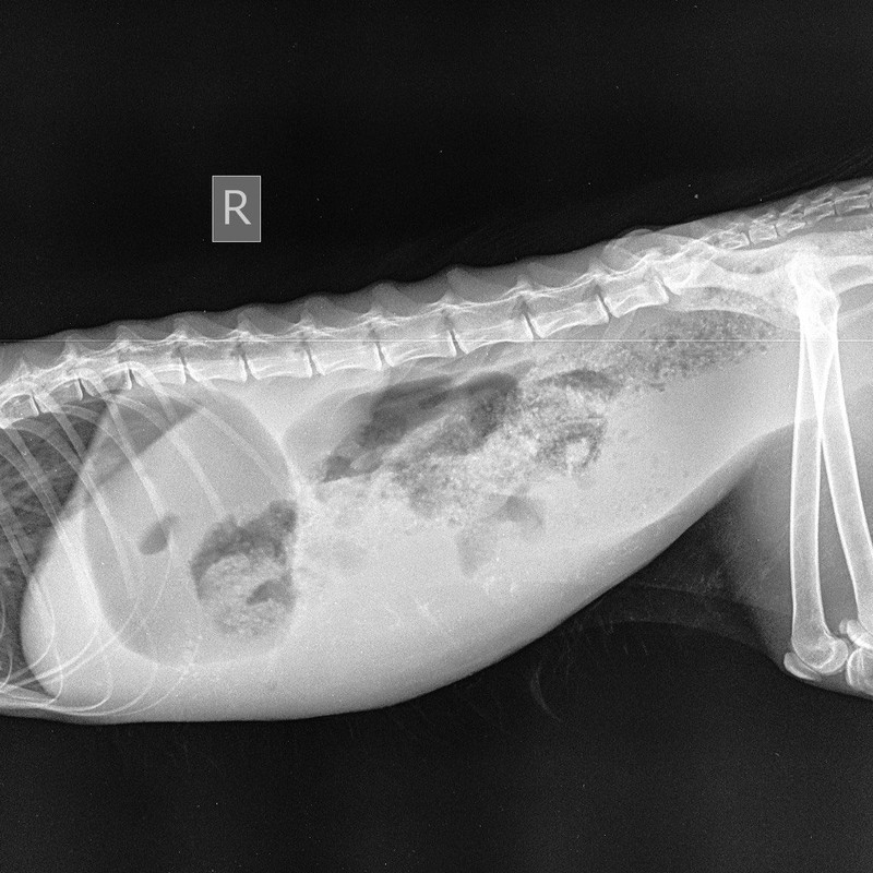 82B2EDDE-5977-4D36-A533-92B5F8506EC2