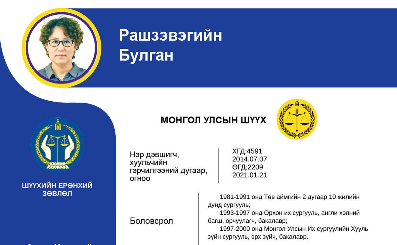 Эрүү, Иргэний хэргийг харьяалан шийдвэрлэх давж заалдах шатны шүүхийн шүүгчид нэр дэвшигч Р.Булганы мэргэжлийн үйл ажиллагааны танилцуулга