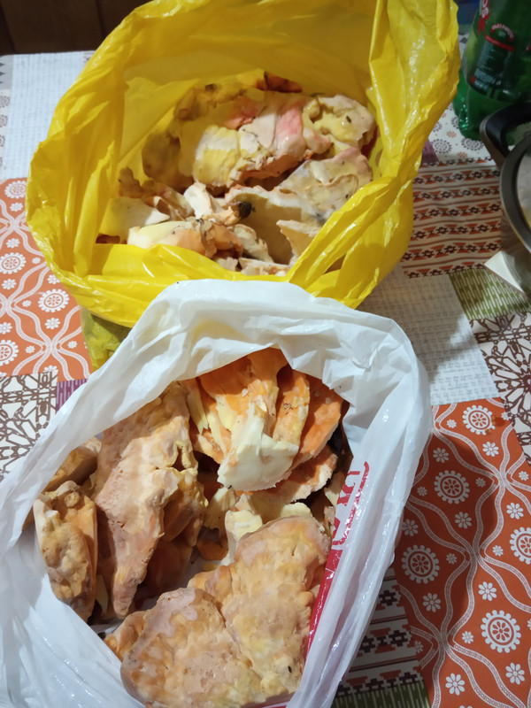 [Slika: IMG-20190518-204310.jpg]