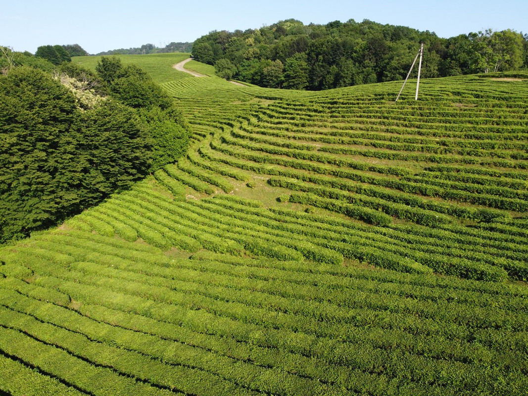 DJI 0015 — Postimages