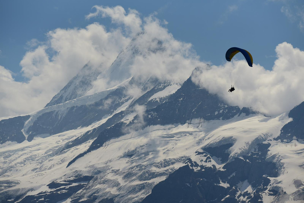 De casa a Grindelwald (Zona de Interlaken) - Huyendo del COVID a los Alpes (2020) (5)