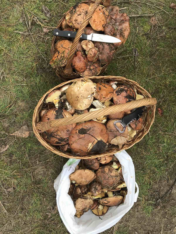 изображение_viber_2020-11-06_14-51-16