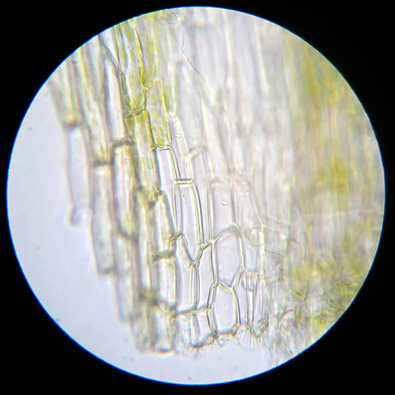 IMG 20250614 124512 HDR