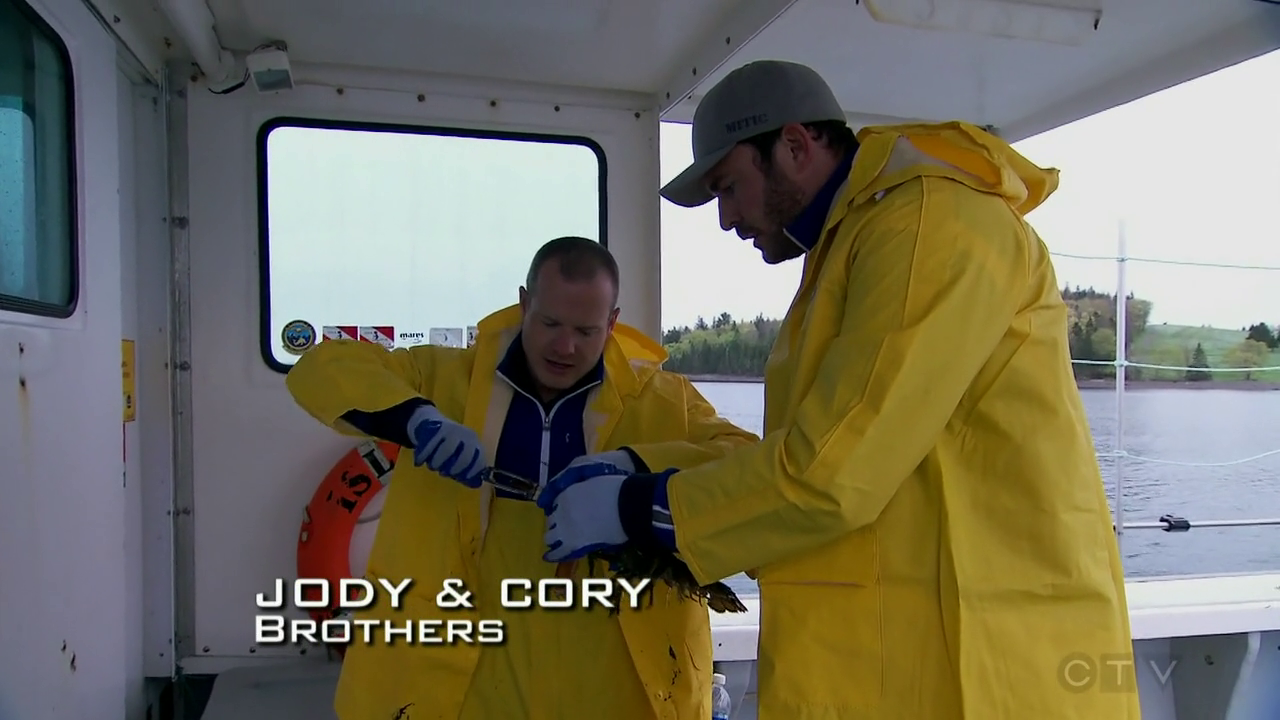 vlcsnap-2021-12-29-19h15m27s719