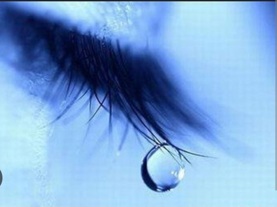 Screenshot_20230121_210331_Chrome