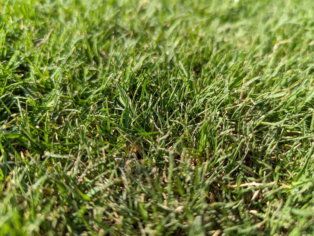 PXL_20220519_135845119