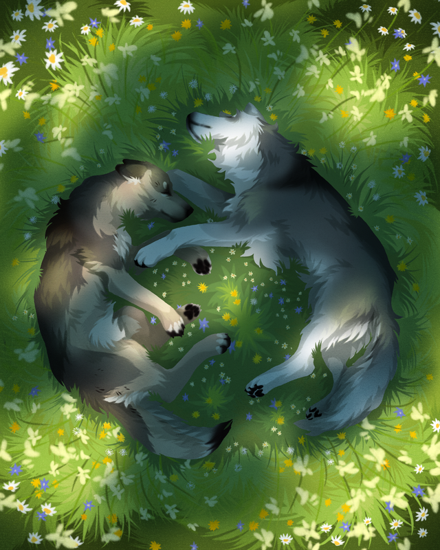 Untitled-31-1.png