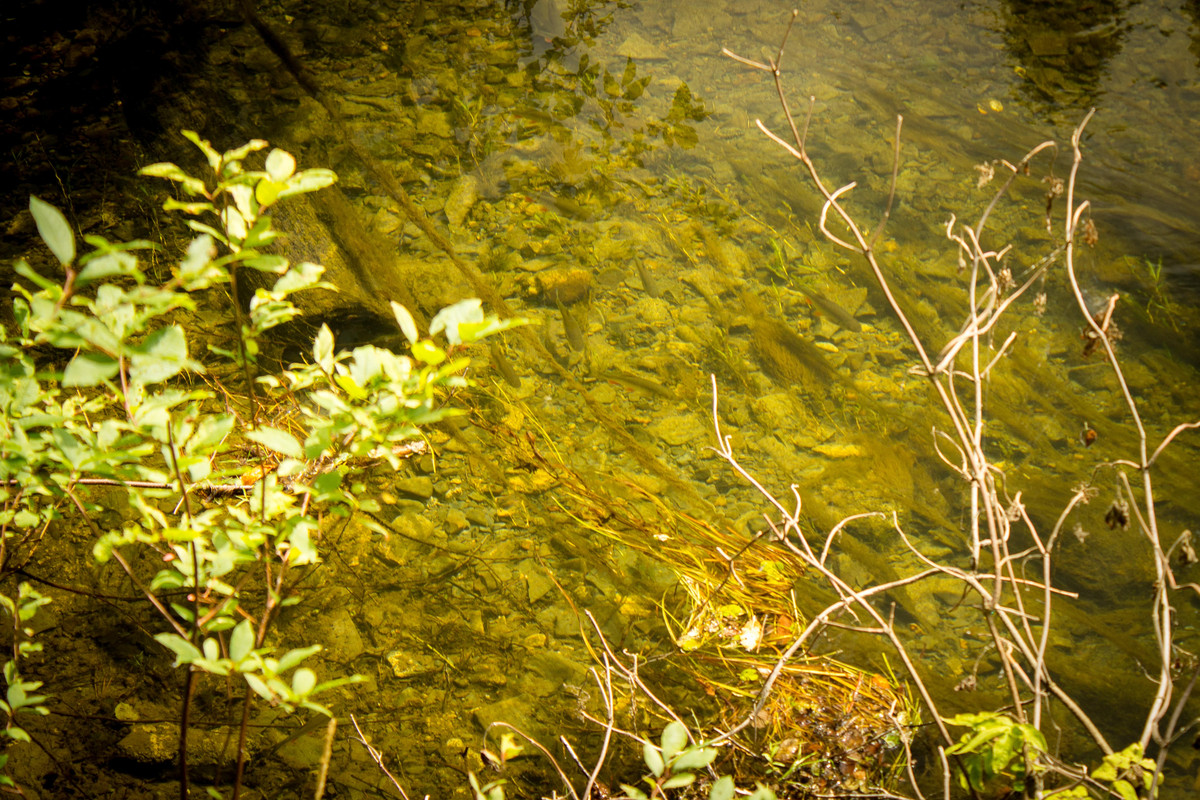 без имени-24