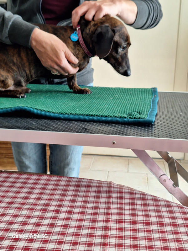 [Image: 20240702-165809.jpg]