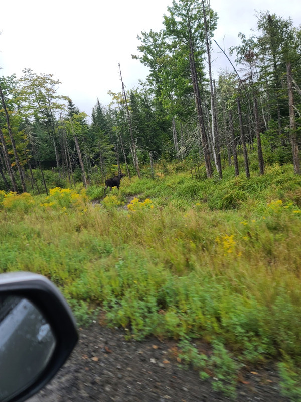 Resized_20230825_141151