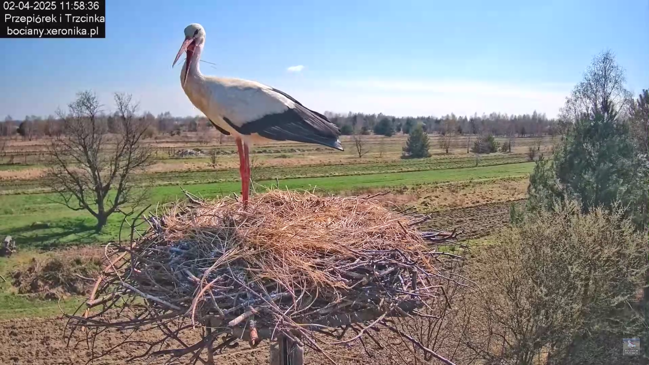 02042025krotkawizytabocka_29