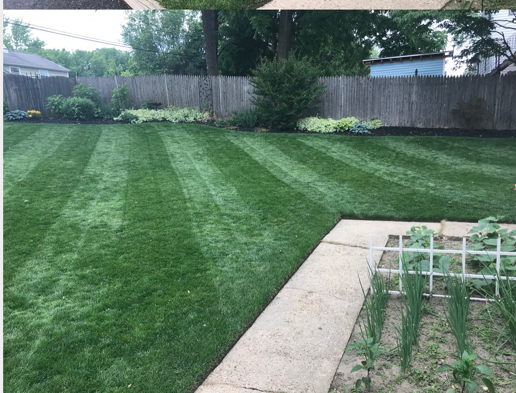 F2A2B33D-55A7-4539-B3E3-BD2014B83641