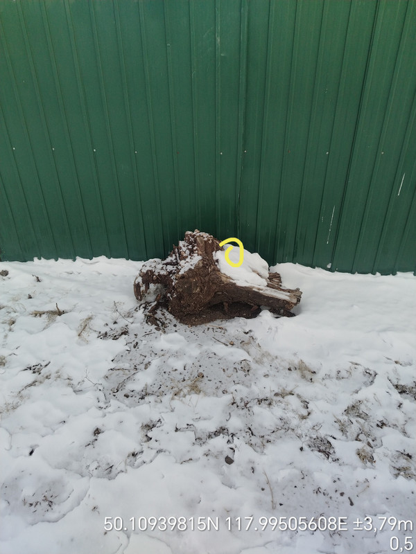 Time Photo 20260110 172303 edit 560304133513394