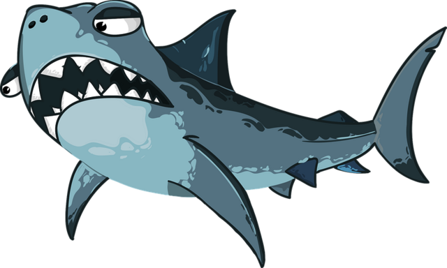 shark-3715787-480