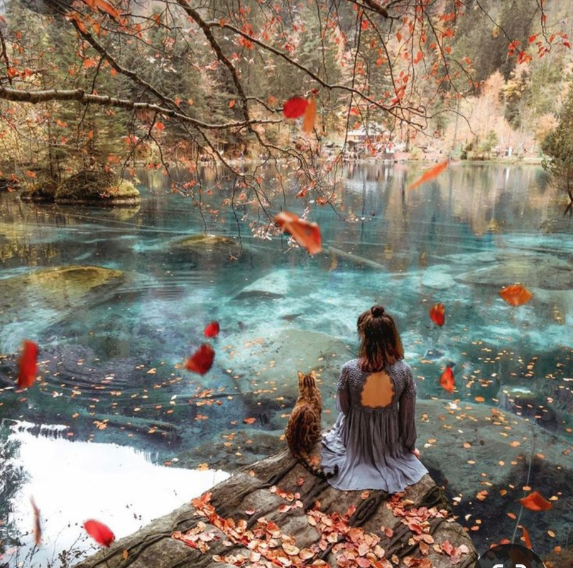 Screenshot_20231128_181536_Pinterest