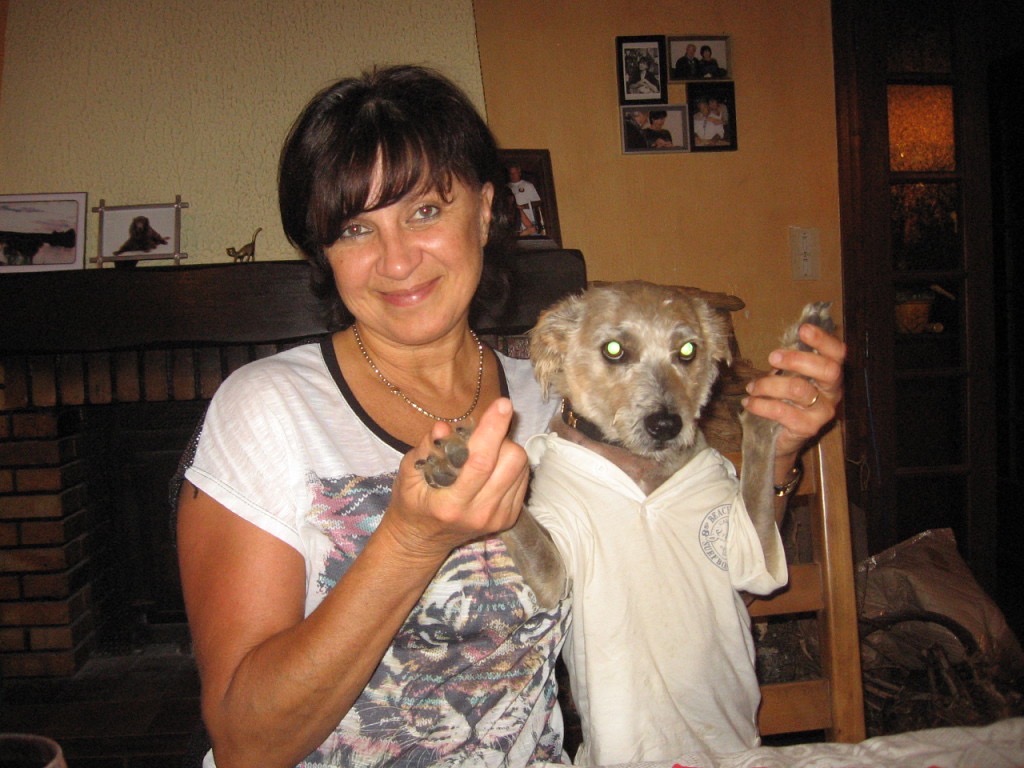 CC4AD727-3FF2-492F-ADE7-5F828996592C