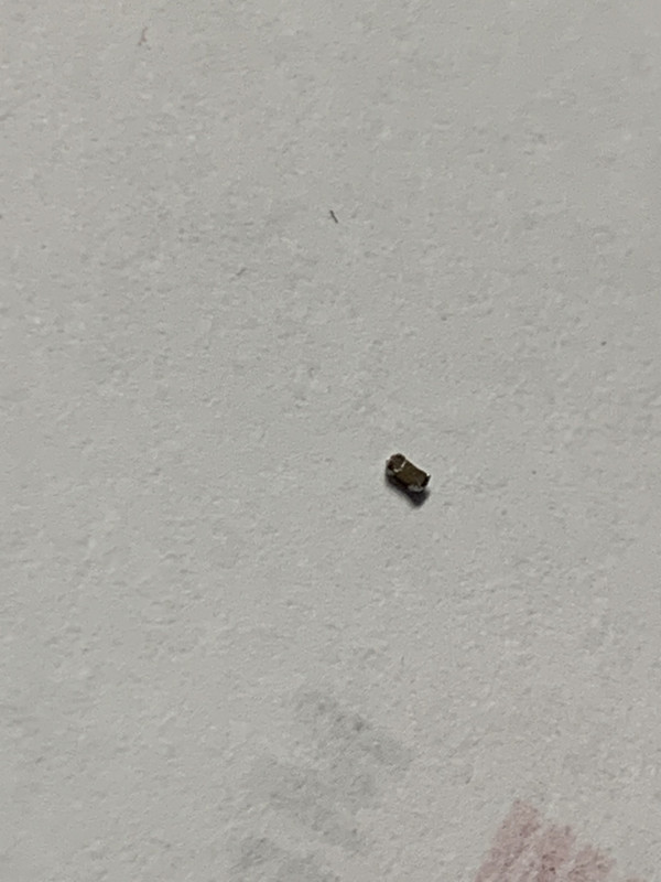 BA0533B9-A4FA-452F-BC44-C2411A432E0B