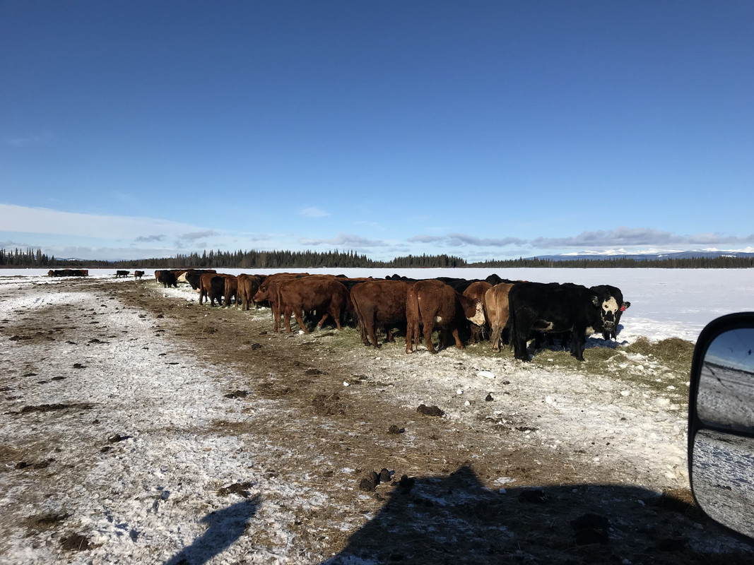 52403927-82F8-405B-9693-22A56B83C760