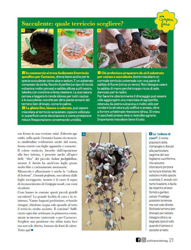 Pol Ver Ago 2025 (8)