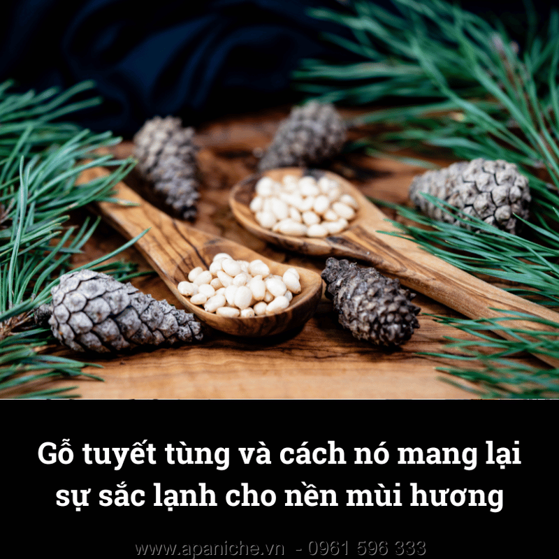 nuoc-hoa-huong-go-tuyet-tung.png