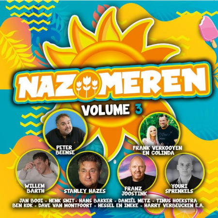 Various Artists - Nazomeren 3 (2020)