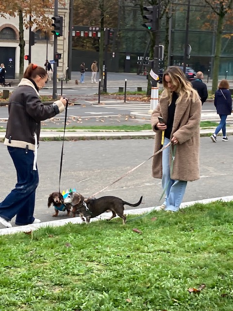 [Image: IMG-4162.jpg]