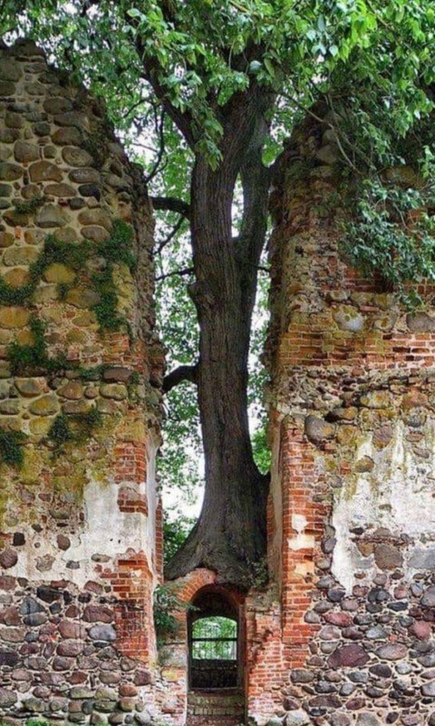 Naturaleza-18
