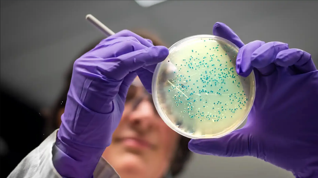 Las cinco bacterias que mataron a más personas en 2019