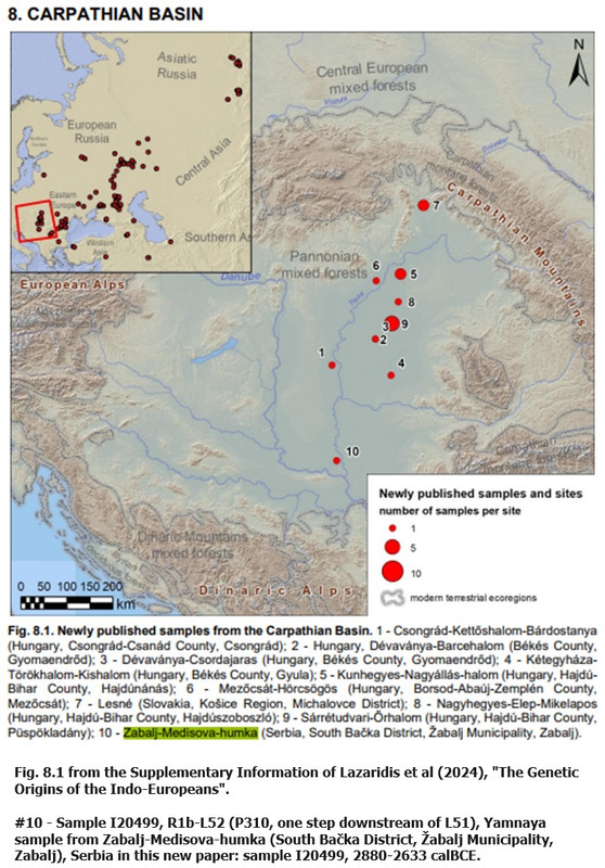 [Image: Sample-I20499-Yamnaya-R-L52-Serbia.jpg]