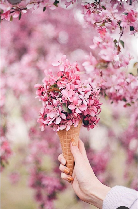 Screenshot_20231002_002055_Pinterest