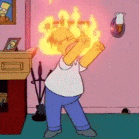 stupid-does-av.gif
