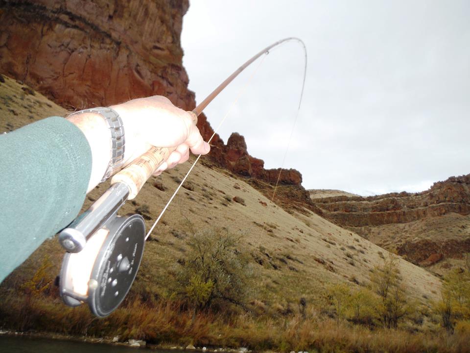 11254053_10205349900572449_4971537113913632332_n